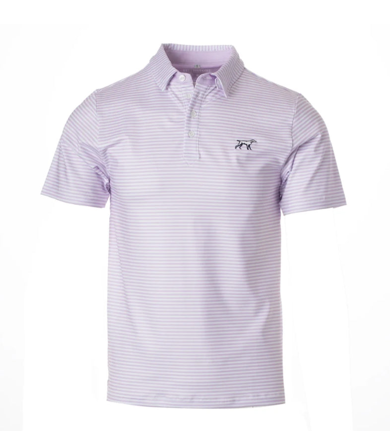 R092 The Marshall Polo