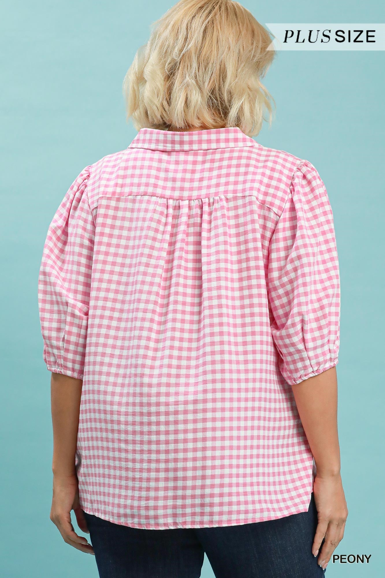 WC6390 Curvy Gingham Collared Blouse